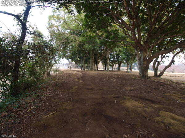 南立石公園(別府市) 南立石公園を進む