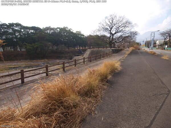 荘園(別府市) 境川沿いの道路で自宅へ向かう