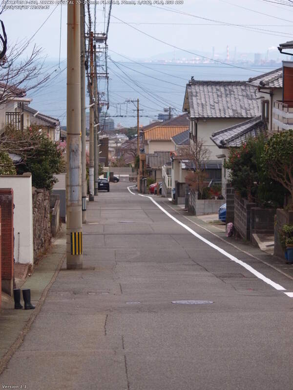 鶴見園町(別府市) 鶴見園町をトキハインダストリー目指して進む