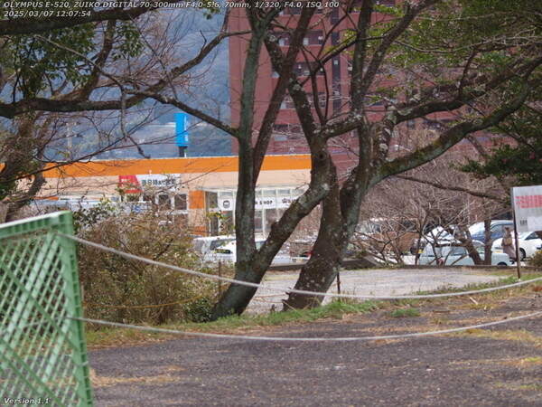 鶴見園町(別府市) 鶴見園公園から見えるトキハインダストリー鶴見園店