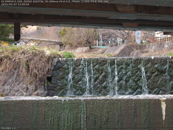 境川(別府市) 左岸で古戦場橋をくぐって上流へ