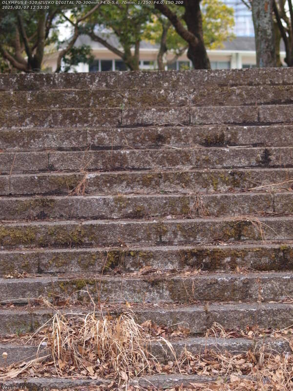 境川(別府市) 階段で南立石公園へ