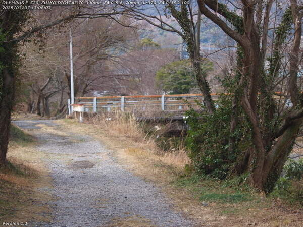 南立石二区(別府市) 西別府橋はすぐそこ