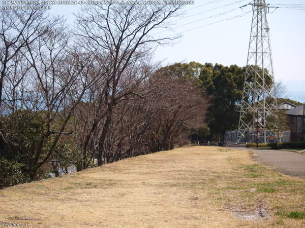 南立石二区(別府市) 境川の土手上の草地を進む