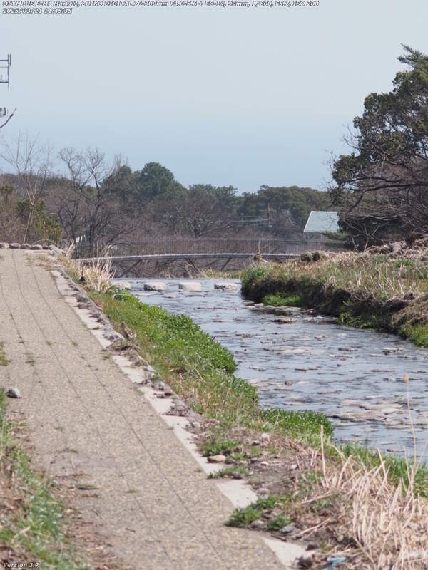 境川(別府市) イナコスの橋が近づいてきた