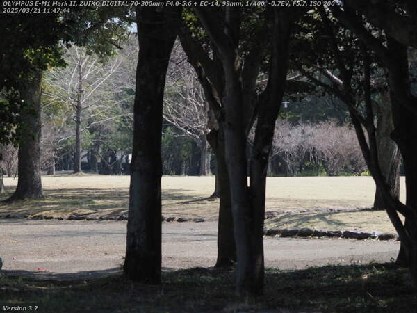 南立石二区(別府市) 南立石公園はすぐそこ