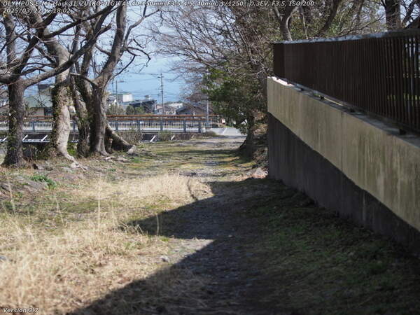 南立石生目町(別府市) 境川の土手上の未舗装路を下る