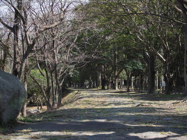 南立石二区(別府市) 土手上の遊歩道で南立石公園へ向かう