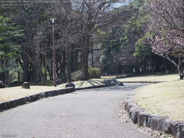 南立石公園(別府市) 南立石公園を南へ歩く