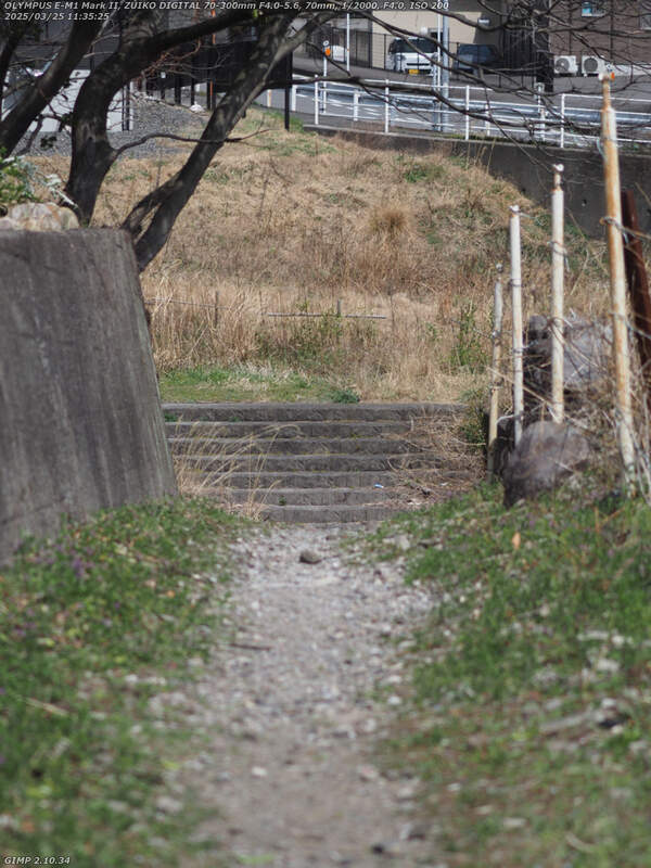南立石生目町(別府市) 高速道路の少し下流の未舗装路で境川の河川敷広場へ