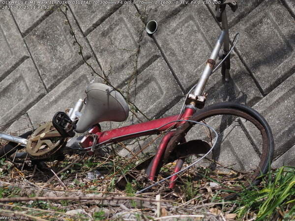 境川(別府市) 打ち捨てられた自転車