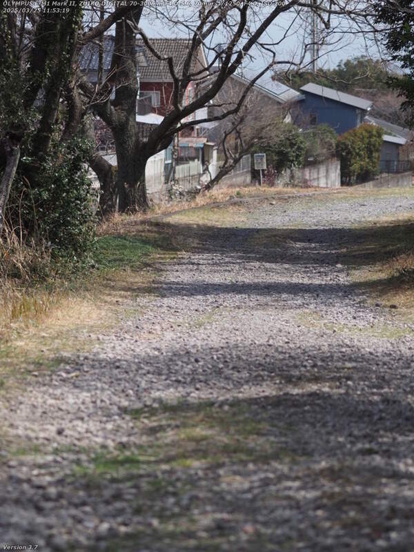 南立石二区(別府市) 西別府橋を渡って右岸の土手上の未舗装路を下る
