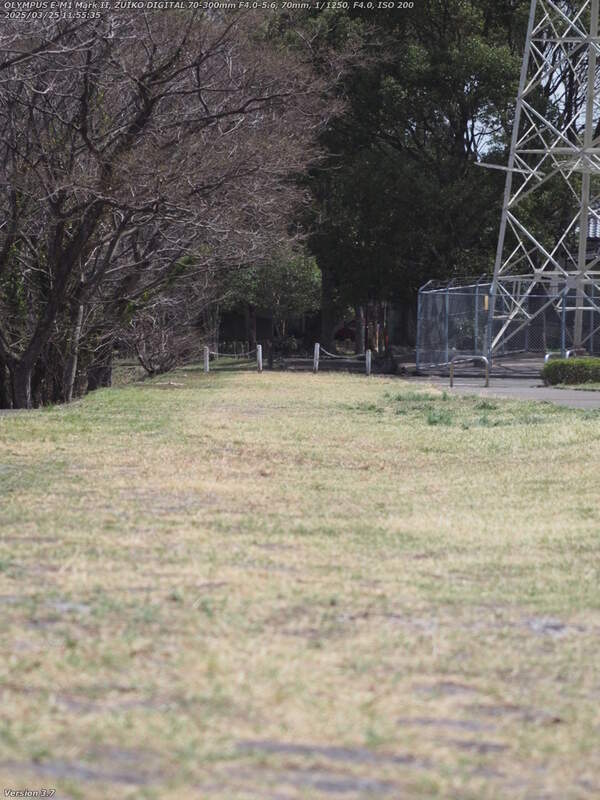 南立石二区(別府市) 西別府団地の横の草地を下る