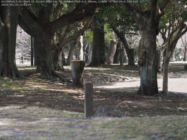 南立石二区(別府市) 南立石公園へ