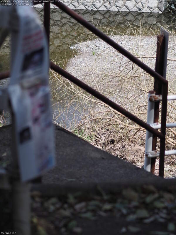 南立石公園(別府市) 階段で河川敷広場へ下る
