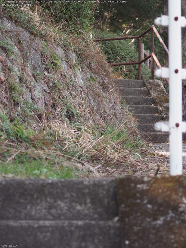 境川(別府市) 階段で南立石公園へ