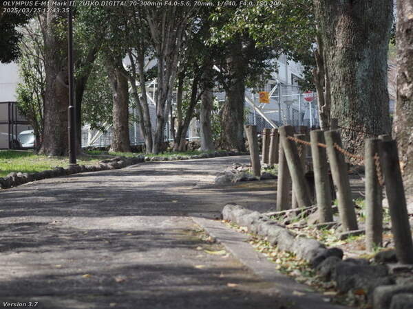 南立石二区(別府市) 土手上の遊歩道を自宅目指して歩く