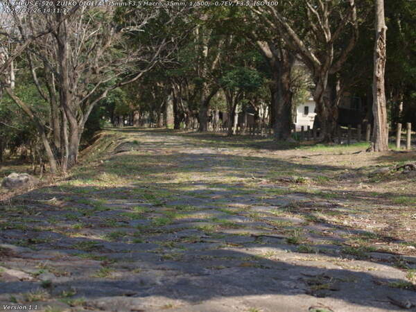 南立石二区(別府市) 土手上の遊歩道で南立石公園に向かう