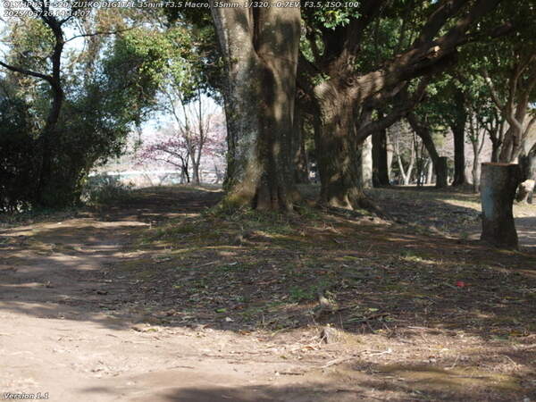 南立石公園(別府市) 南立石公園を境川沿いに下流へ進む