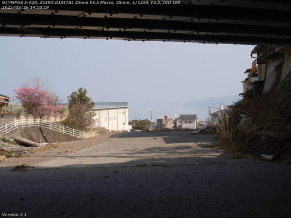 境川(別府市) 古戦場橋をくぐる