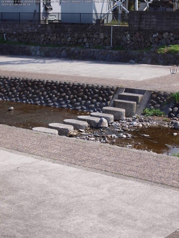 境川(別府市) 河川敷広場へ戻って飛び石で対岸へ