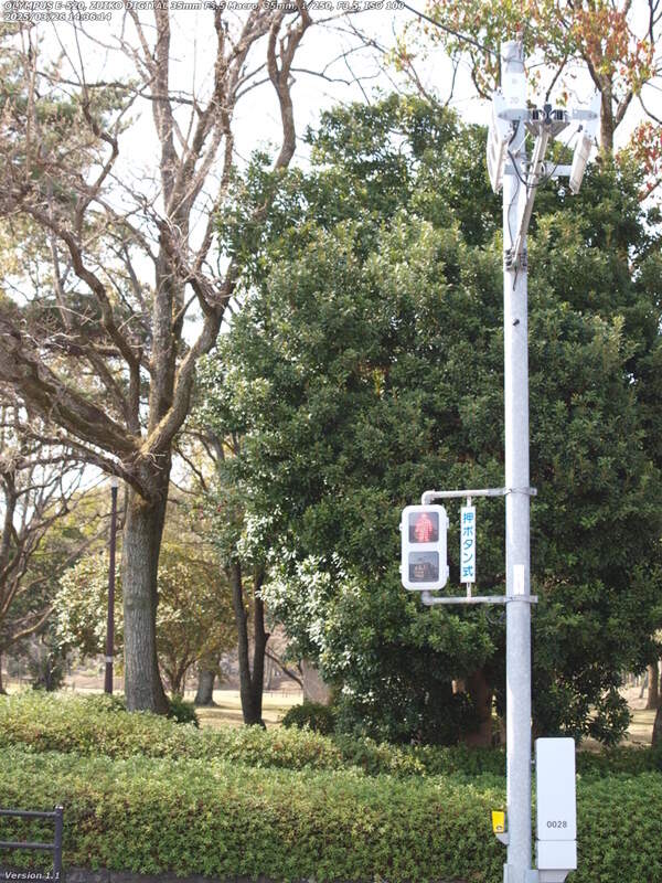 南荘園町(別府市) 信号機で鉄輪線を渡たって南立石公園へ