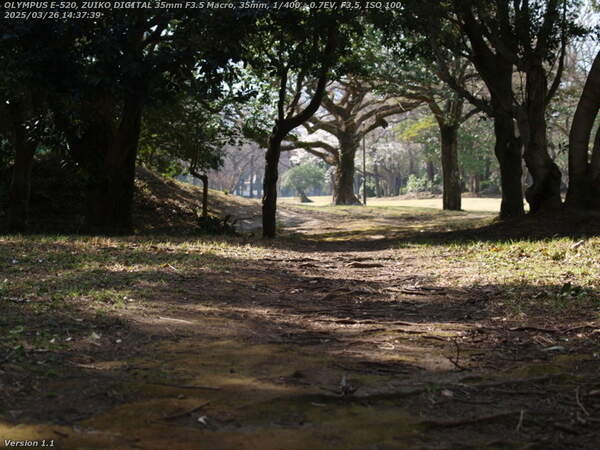南立石公園(別府市) 南立石公園を歩く