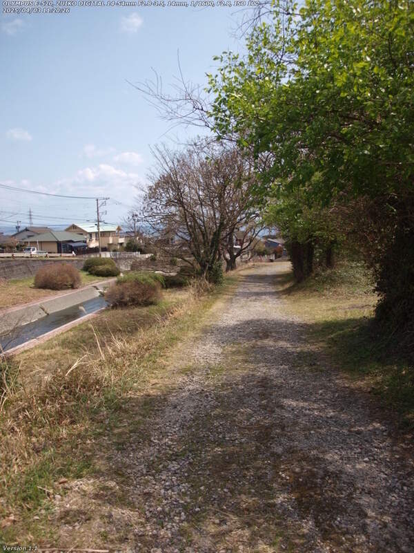 南立石二区(別府市) 西別府橋の脇から土手上の未舗装路を下る