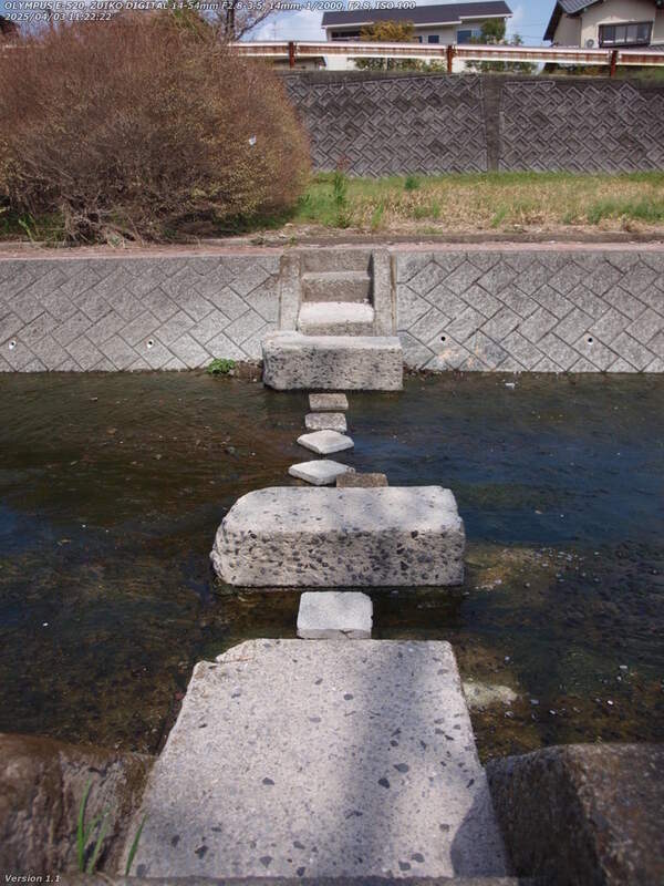 境川(別府市) 住民の手作りの飛び石で左岸へ渡る