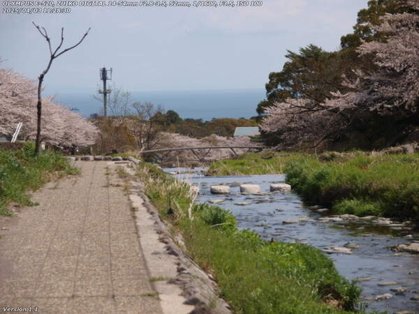 境川(別府市) イナコスの橋が近づいてきた