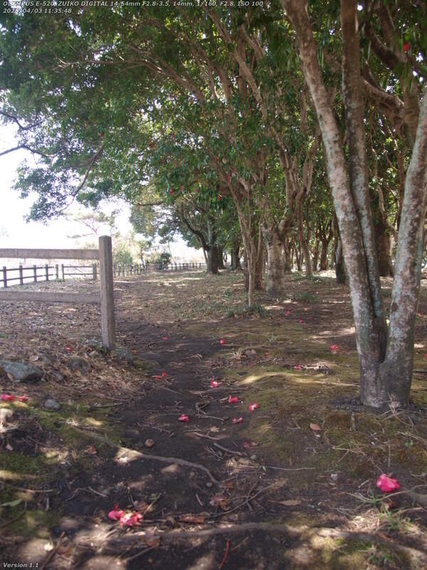 南立石公園(別府市) 境川沿いに下流へ下る
