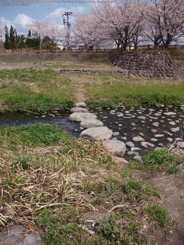 境川(別府市) 本物の石で作られた飛び石で左岸へ渡る