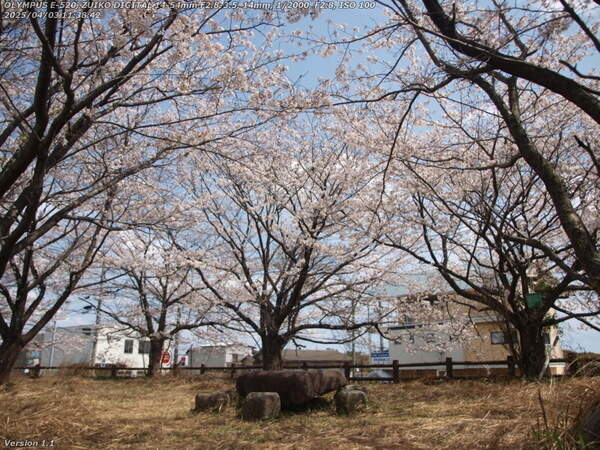 境川(別府市) 階段を上った先の花見スポット
