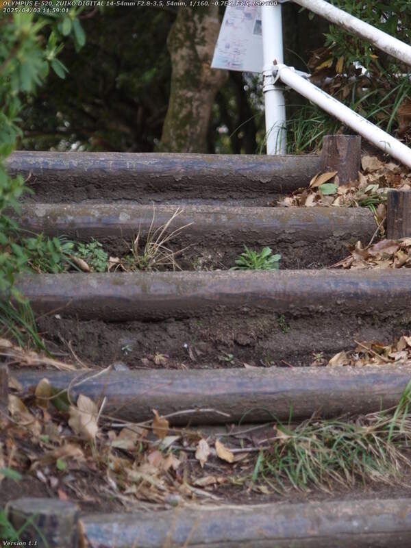 境川(別府市) 階段で南立石公園へ
