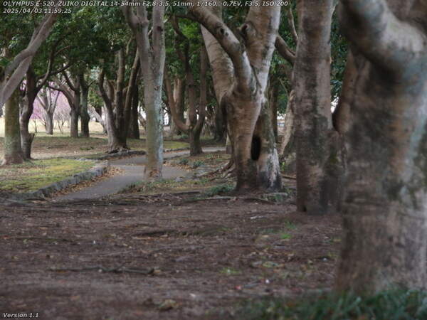 南立石公園(別府市) 境川沿いに上流へ進む