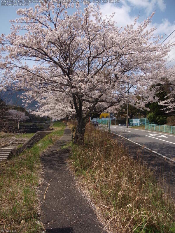 境川(別府市) 土手上に作られた狭い歩道