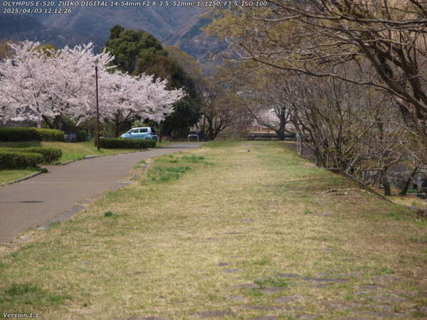 南立石二区(別府市) 西別府団地の横の草地を歩く