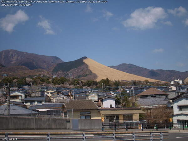 南立石生目町(別府市) 野焼きを免れた扇山