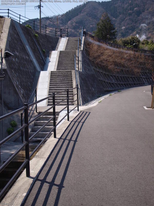 南立石板地町(別府市) 歩道を逸れて階段を上る