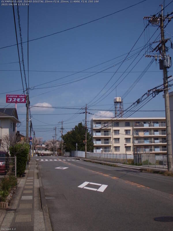 南荘園町(別府市) コスモス南荘園店へ向かう