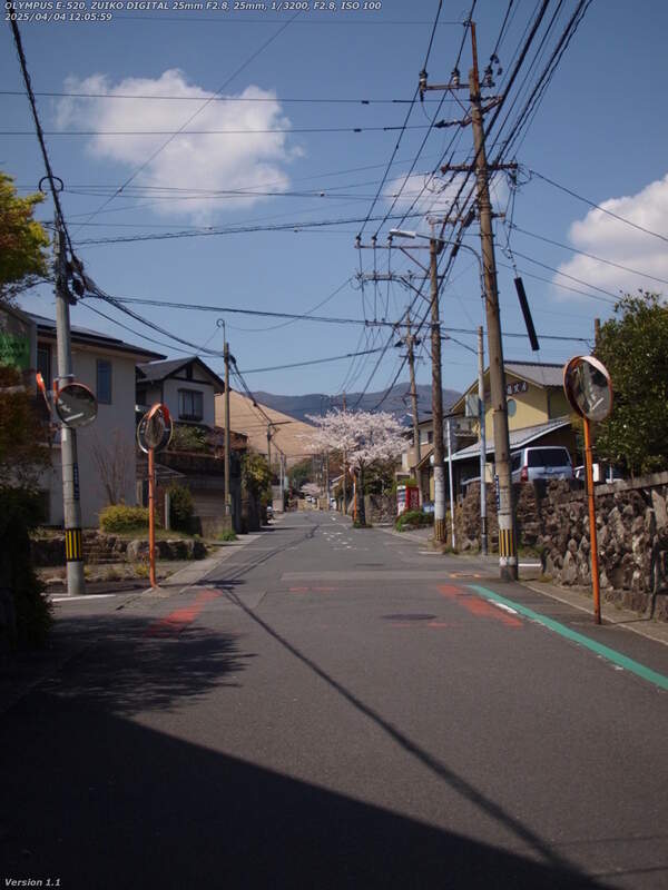 南荘園町(別府市) 六角温泉へ向かう