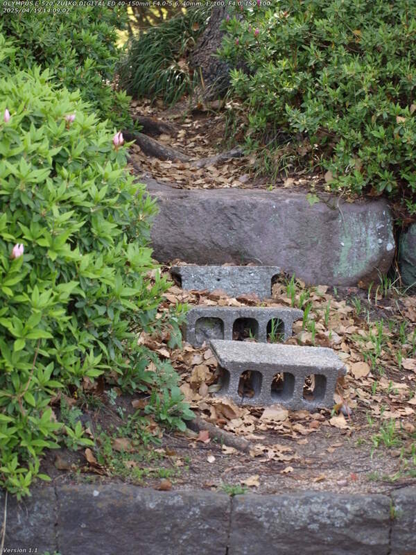 南立石二区(別府市) 手作りの小道で南立石公園へ