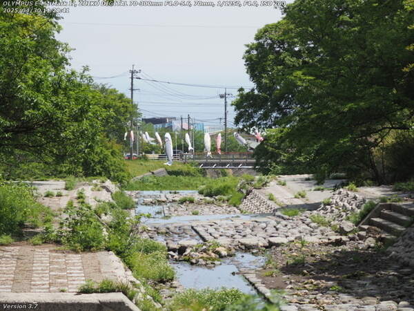 境川(別府市) 西別府橋と鯉のぼり