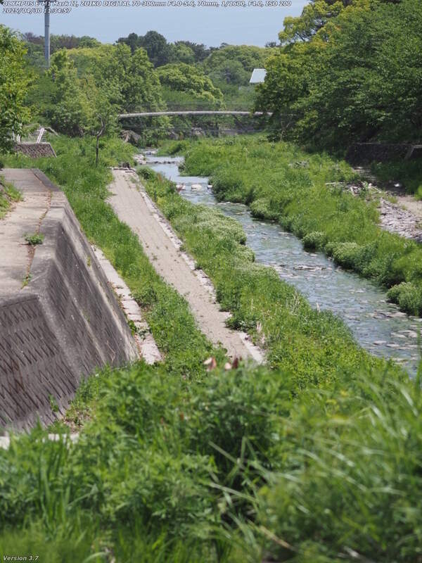 境川(別府市) イナコスの橋が見えてきた