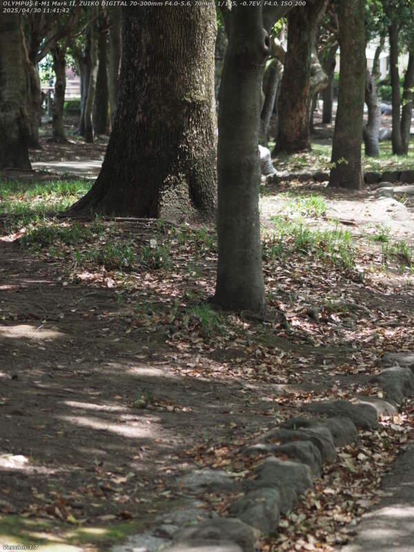 南立石公園(別府市) 南立石公園を境川沿いに下る