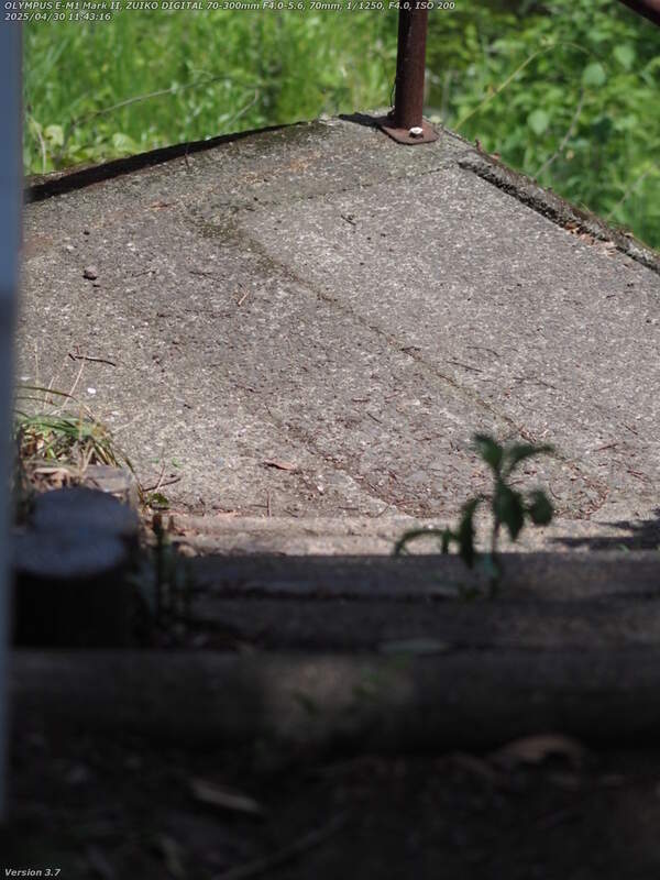 南立石公園(別府市) 階段で河川敷広場へ下る