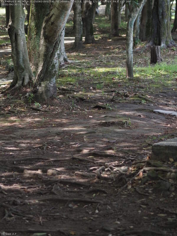 南立石公園(別府市) 南立石公園を境川沿いに上流へ進む