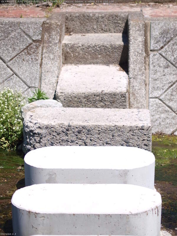 境川(別府市) 飛び石で左岸へ渡る