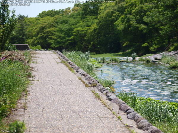 境川(別府市) 河川敷広場の左岸を下流へ