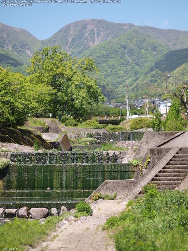 境川(別府市) 上流へ引き返す